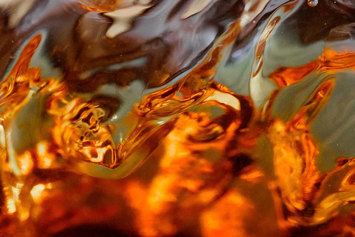 The Macallan and Painting