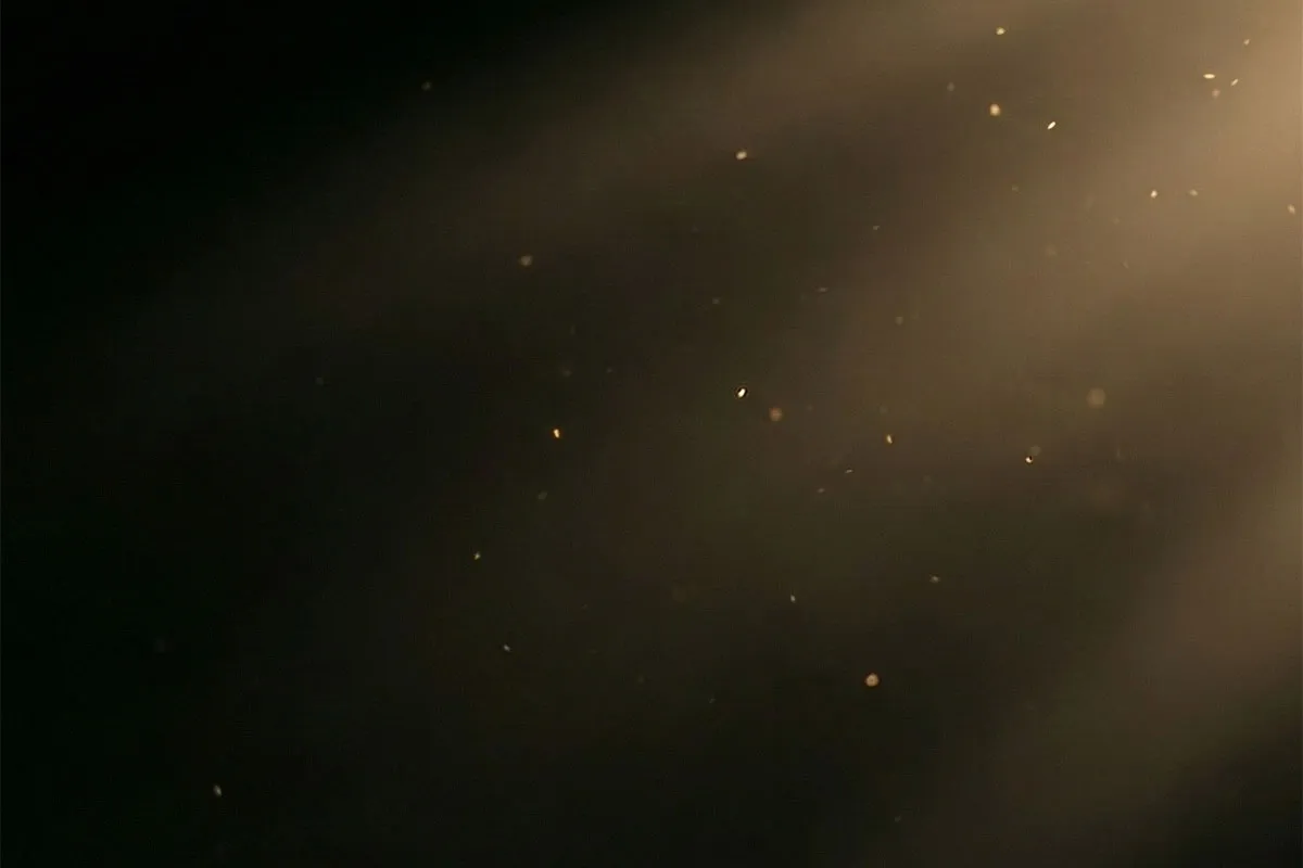 Depicting alongside contradictions