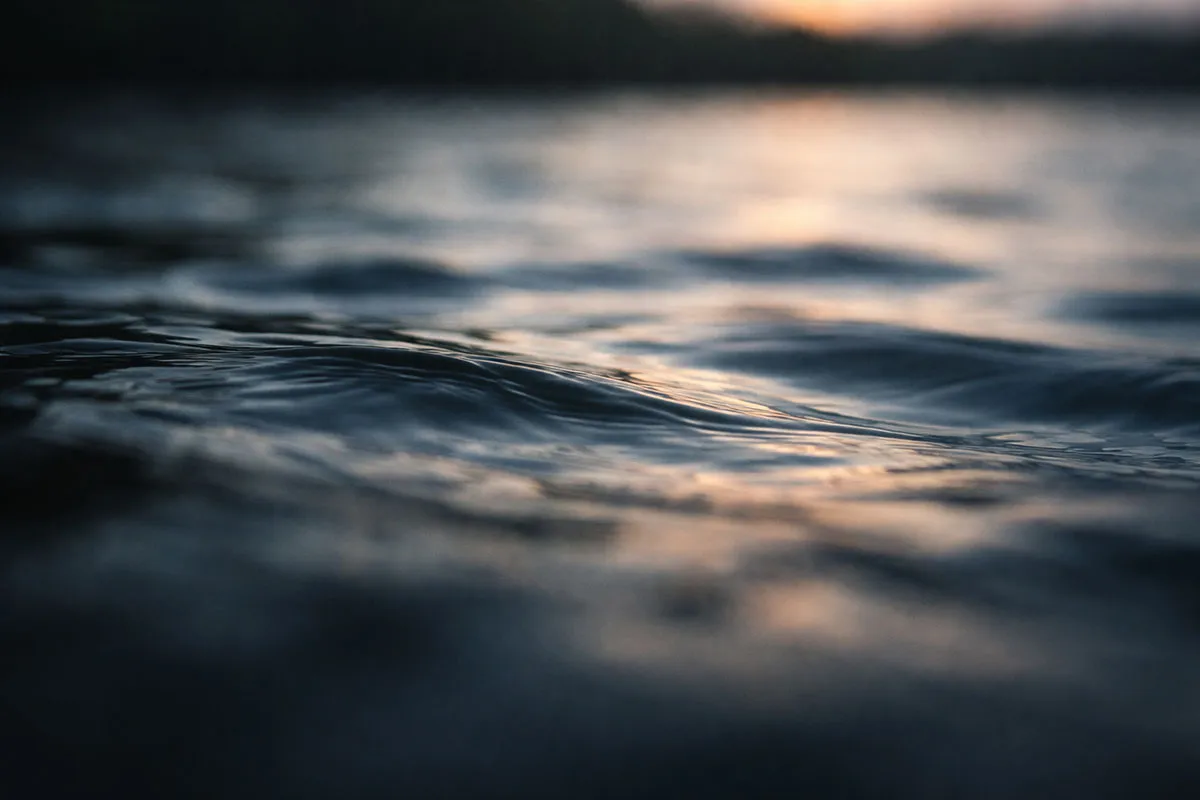 波は心のかたちをしている